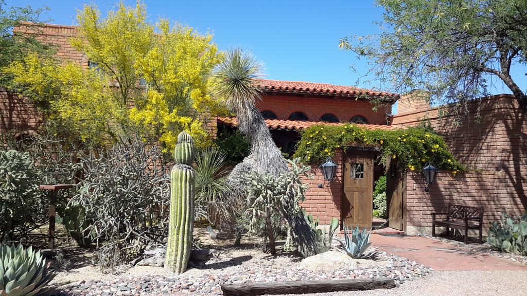 Desert Trails Bed & Breakfast Tanque Verde Exterior photo